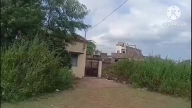 वरला: चाचरिया चौकी क्षेत्र के कामोद गांव में महिला ने फांसी लगाकर की आत्महत्या, पुलिस ने जांच शुरू की