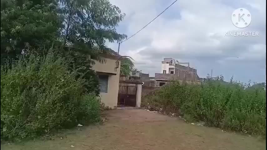 वरला: चाचरिया चौकी क्षेत्र के कामोद गांव में महिला ने फांसी लगाकर की आत्महत्या, पुलिस ने जांच शुरू की