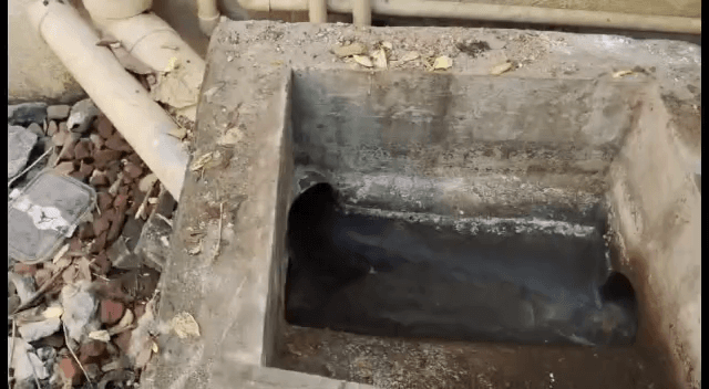 திருவள்ளூர்: மதுராவாயல் தேவி கருமாரியம்மன் கோயில் தெருவை சேர்ந்த பத்மநாபன் என்பவர் வீட்டில் புகுந்த பாம்பை வன காவலர் பிடித்தார்.