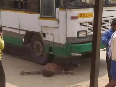 అమరావతిలో బస్సు కింద పడి వ్యక్తి వ్మృతి