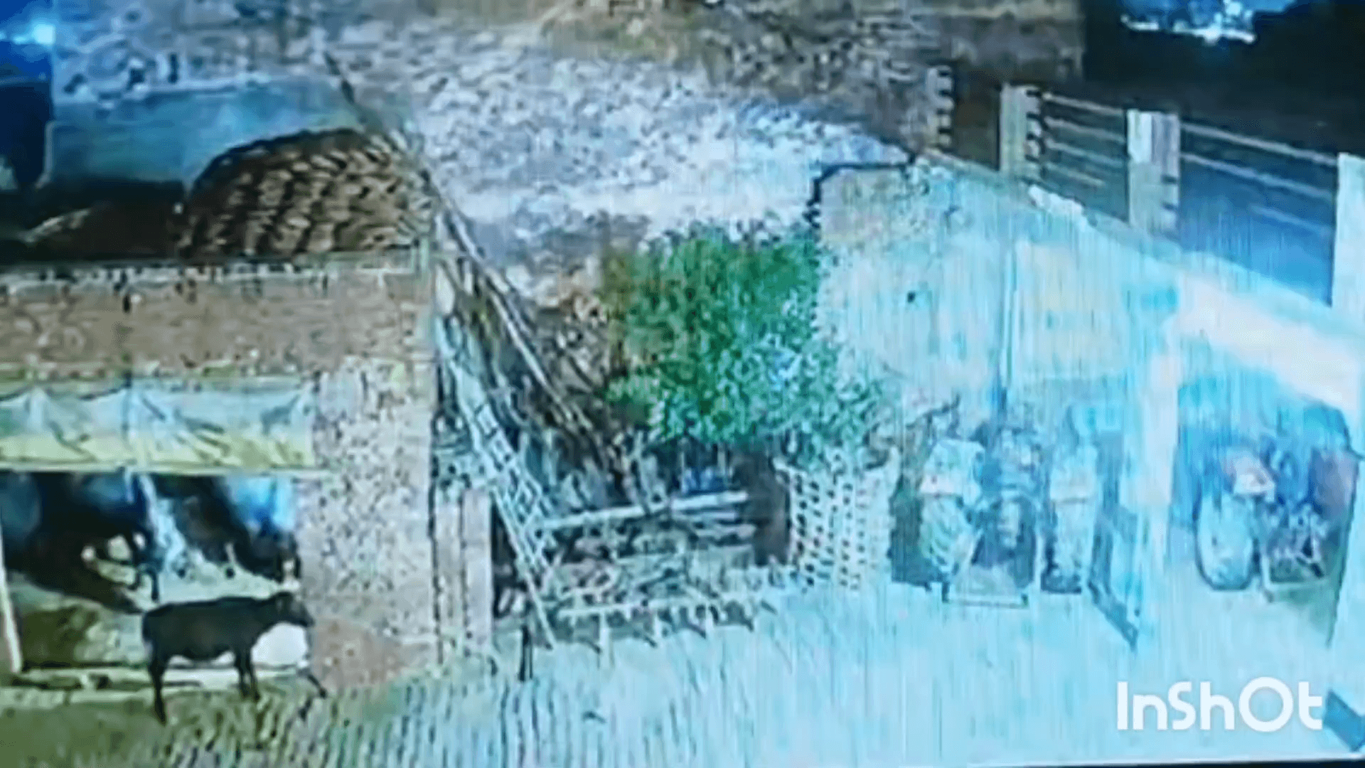 धौलाना: गांव दहपा में रंजिश मानकर दबंगों ने घर पर पत्थर बरसाकर की तोड़फोड़, पुलिस ने 7 आरोपियों के खिलाफ दर्ज किया मुकदमा