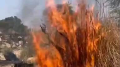 दांतारामगढ़: सेड की डूंगरी इलाके में सरकारी भूमि पर आग लगने से फैली सनसनी, कड़ी मशक्कत के बाद पाया गया आग पर काबू