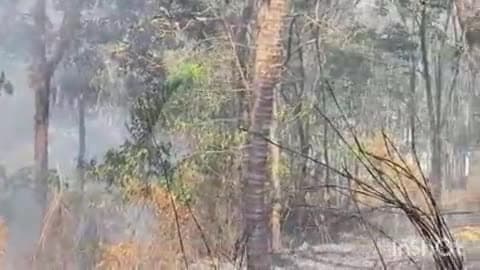 അടൂര്‍: വേനൽ കടുത്തതോടെ അടൂർ താലൂക്കിൻ്റെ വിവിധ ഭാഗങ്ങളിൽ തീ പിടിത്തം വ്യാപകമായി