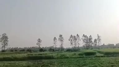 सिधौली: गोदला मऊ इलाके में अवैध अतिक्रमण पर प्रशासन की बड़ी कार्रवाई, 80 बीघा भूमि को कराया गया कब्जा मुक्त