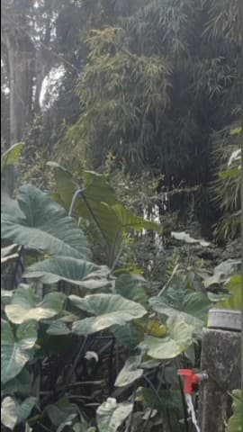 किरनापुर: जल जीवन मिशन से ग्राम कोस्‍ते में आया सकारात्मक बदलाव
