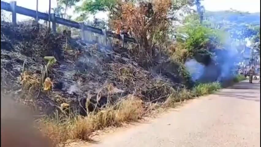 ചേർത്തല: പുല്ലിന് തീപിടിച്ച് തീ ആളിപ്പടർന്നു പള്ളിപ്പുറത്താണ് സംഭവം
