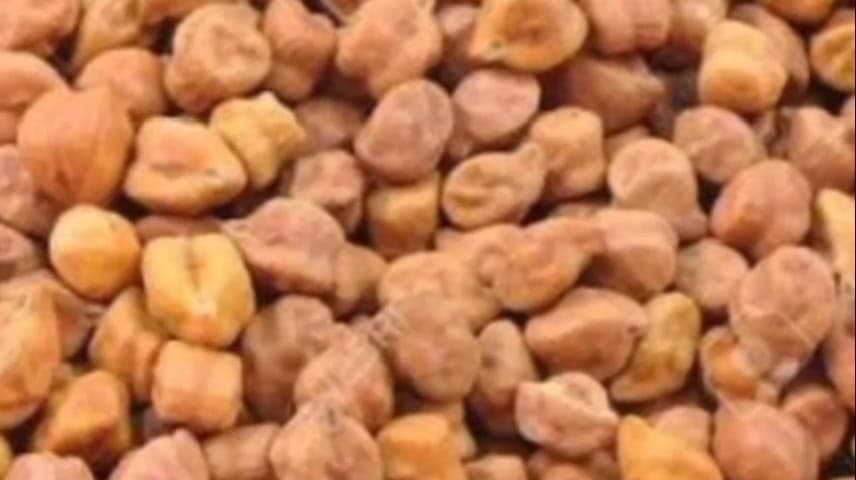 ईसागढ़: ईसागढ़ तहसील में चना एवं मसूर के कृषक पंजीयन हेतु केंद्र निर्धारित