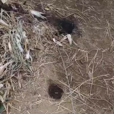 శింగనమల: బందుల వాడ గ్రామంలో బీసీ కాలనీ మెయిన్ రోడ్డులో పెద్ద లైను వైరు తెగి కిందపడింది. బైకు పూర్తిగా దగ్ధం