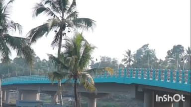 തിരുവല്ല: തിരുവല്ല ഉപദേശിക്കടവ് പാലം ഓൺലൈനായി മന്ത്രി പി എ മുഹമ്മദ് റിയാസ് ഉദ്ഘാടനം ചെയ്തു