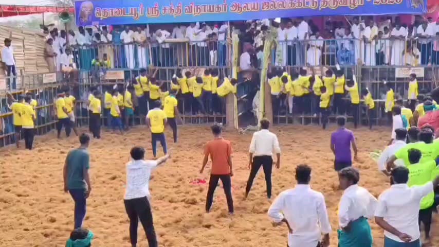 குளத்தூர்: தொடையூரில் நடைபெற்று வரும் ஜல்லிக்கட்டு போட்டிகளை பத்தாயிரத்துக்கும் மேற்பட்ட பொதுமக்கள் பார்த்து ரசித்து வருகின்றனர்