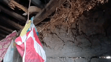 बजाग: गोपालपुर मझगांव में झोपड़ी में रह रहा परिवार 10 साल से शासकीय योजनाओं का कर रहा इंतजार