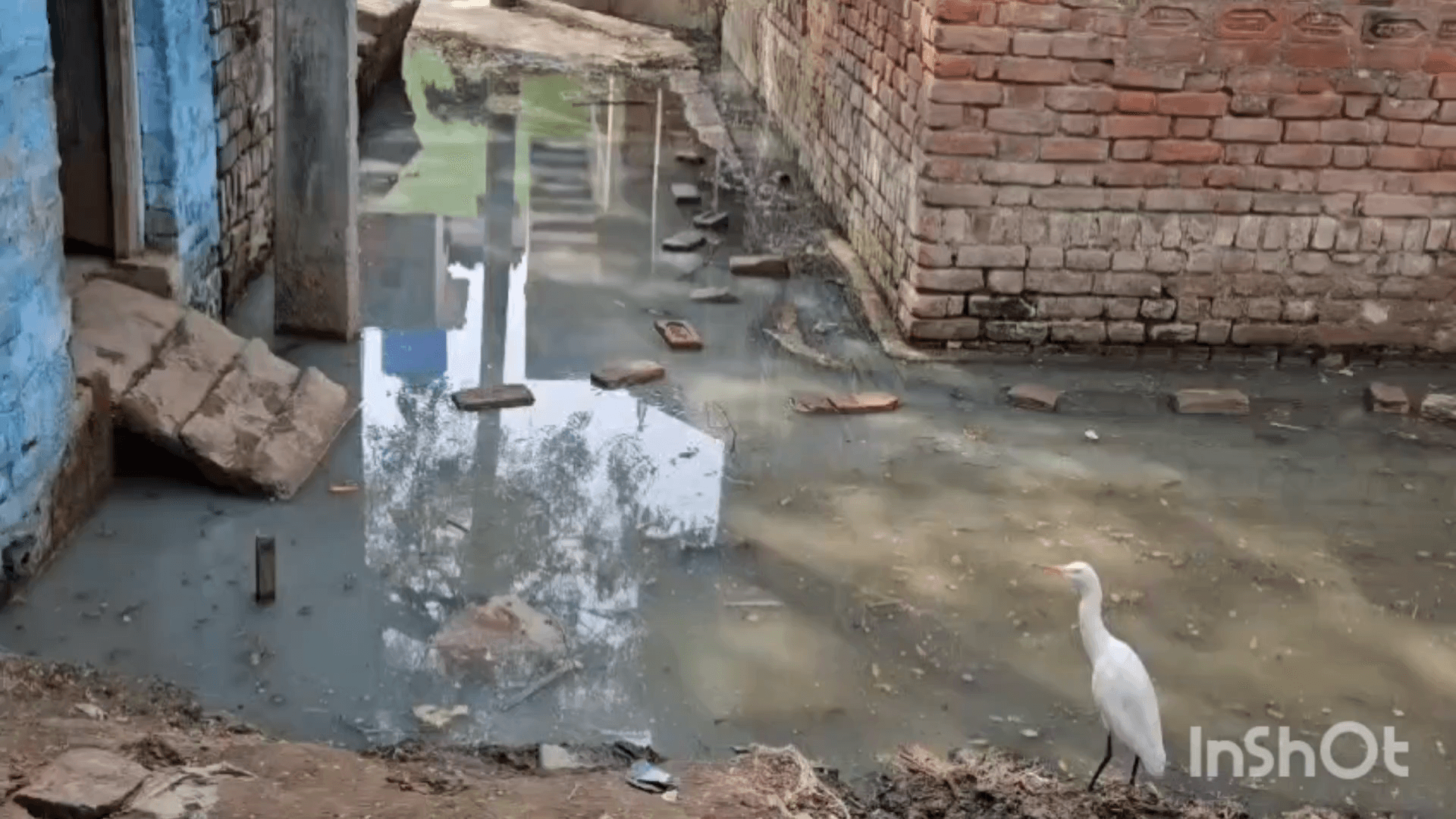 टूंडला: गांव दारापुर में जल भराव की समस्या से जूझ रहे ग्रामीण, शिकायत के बावजूद समाधान नहीं हो पा रहा