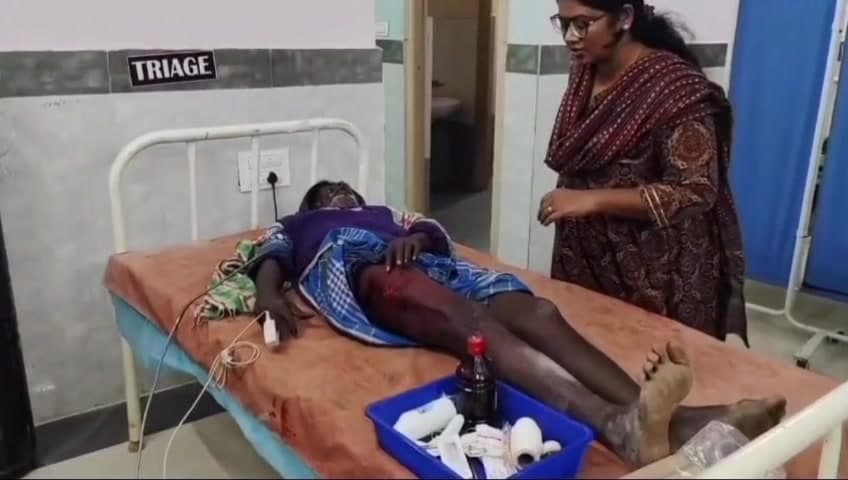 కోడూరు: వృద్ధుడుపై ఎలుగుబంటి దాడి రక్షణ కల్పించాలని ప్రజలు