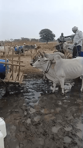 ग्राम बिनेकी में फरवरी से ही घर घर जल देना हुआ बन्द गांव से बाहर जाकर पानी लाना पड़ रहा है
