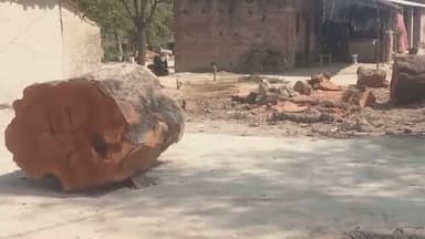 अधिकारियो की मिली भगत से प्रतिबंधित पेड़ो पर चल रहा आरा मामला संग्रामपुर थाना के कलवारन का पुरवा का है