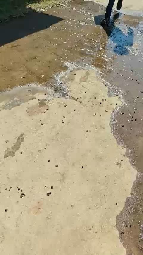 जिला हरदा ग्राम कचवैडी में चार महीने से  पुरी गंदी नाली का पानी पुरे मोहल्ले में बेहरहा पूरी सड़क पर 
फिसलन हो गई है