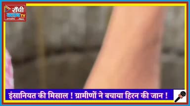 कुएं में गिरा हिरन, ग्रामीणों ने रस्सी से बचाई जान | Deer Fell Into Well Rescue by Villagers Viral Video

#DeerRescue