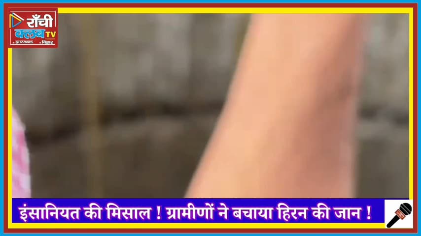 कुएं में गिरा हिरन, ग्रामीणों ने रस्सी से बचाई जान | Deer Fell Into Well Rescue by Villagers Viral Video

#DeerRescue