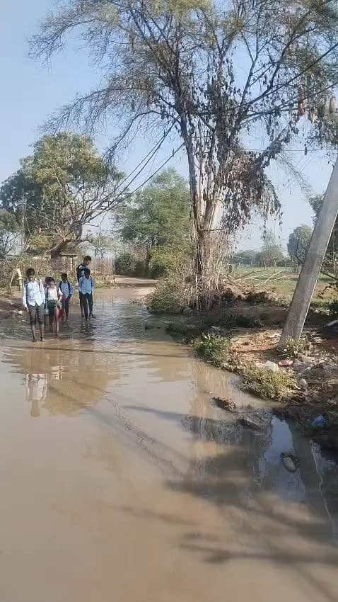 बिनायका गांव में हिरामन बस्ती को तरफ जाने वाला रास्ता कई दिनों से अवरुद्ध है इसका जल्द से जल्द निवारण किया जाये