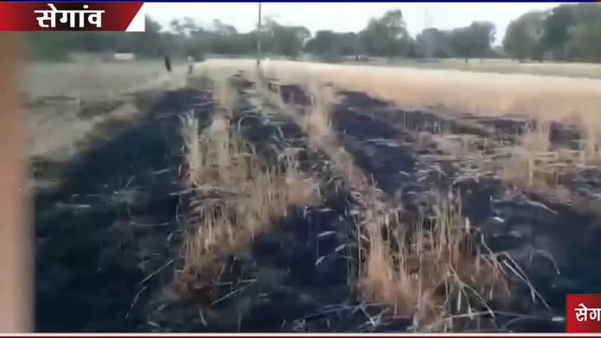सेगांव: बिजली शॉर्ट सर्किट से बाड़ियापुरा में किसान की गेहूं फसल राख, 20 हजार का नुकसान #शॉट सर्किट #बिजली #आग #किसान #सेगावन्यू