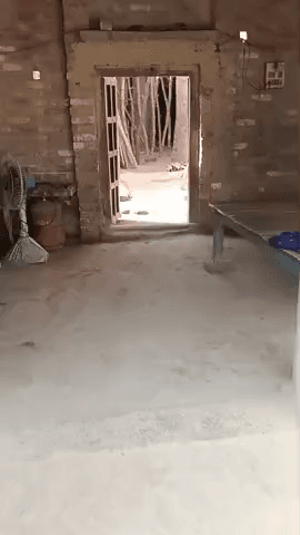 जयसिंहपुर तहसील के सोनौरा गांव में राजस्व विभाग घर के आंगन में छत डालने से रोक रहे है