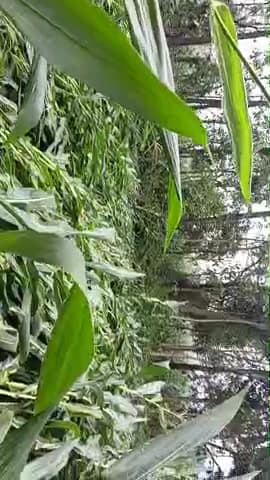 Sarkar Simran nivedan hai ki iska search kiya jaaye aur uska Kisan ko Labh Diya jaaye