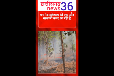 जंगल में आग लगने से कीमती पेड़ पौधे जलकर हुई खाक  आग लगने पर भी  मौके पर नहीं फायर ब्रिगेड और नहीं विभाग से कोई मौजूद