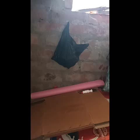 कार्टन ka ghar hai or glue