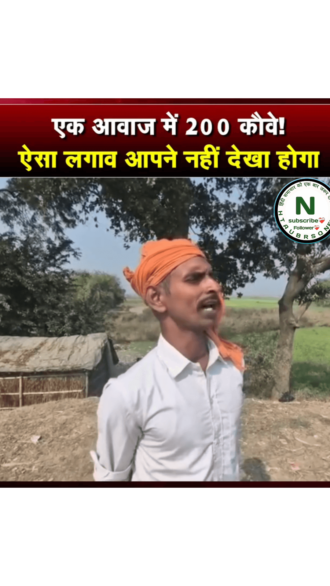एक आवाज में 200 कौवे ! ऐसा लगाव आपने नहीं देखा होगा #shorts #htaubrsq #news