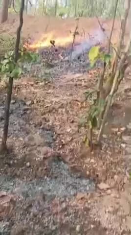जंगल में आग लगने से पूरा जंगली साफ !