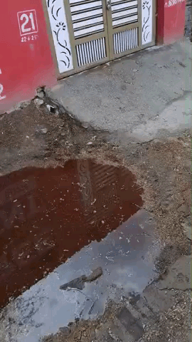 गांव रूपरा लांबिया खुर्द पंचायत@