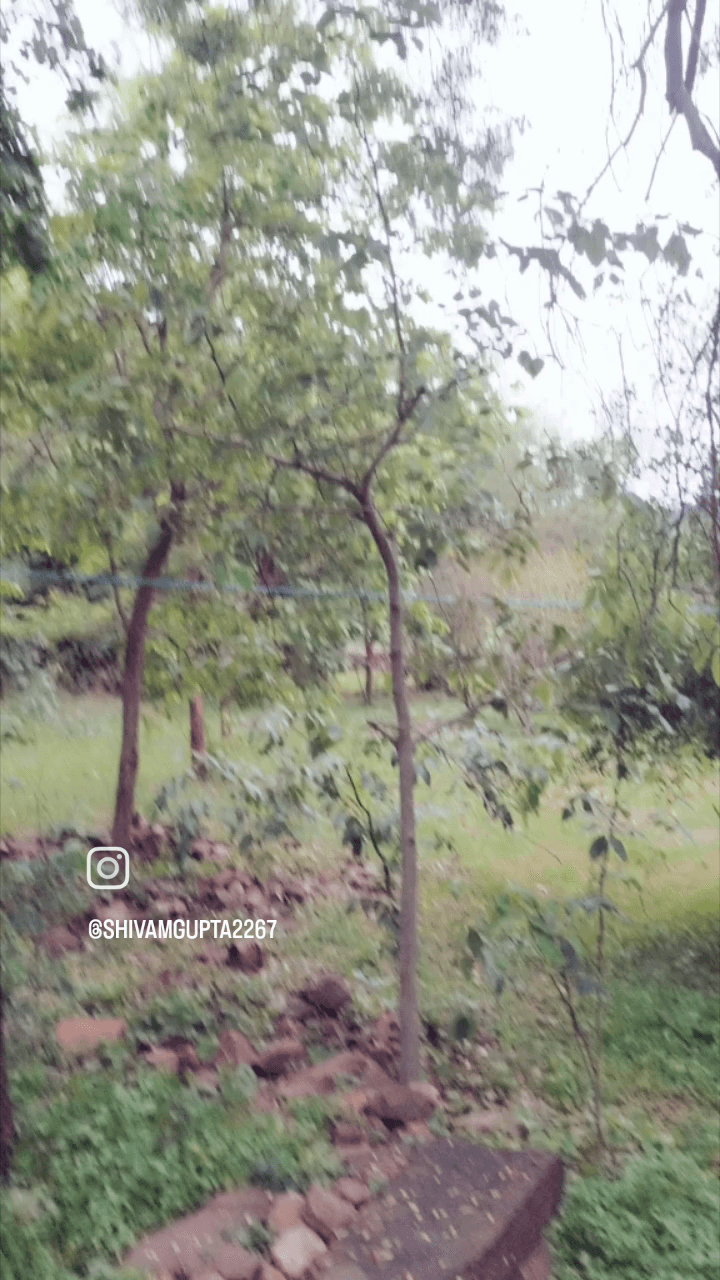 कल गूंजेंगा जयकारा माता का सजेगा  दरबार कल ग्राम चंदावनी की पावन  धरा पर श्री श्री 1008 जय मां हरसिद्धि देवी मंदिर पर