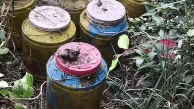 पताही में पुलिस ने विभिन्न लोगों पर शराब के विरोध चलाया विशेषअभियान, दस हजार लीटर शराब को मौके पर ही किया नष्ट