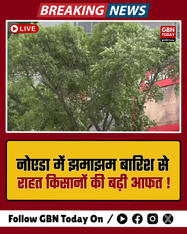 नोएडा: झमाझम बारिश से राहत, किसानों की बढ़ी आफत।
#NoidaWeather #RainAlert #FarmersLoss #BreakingNews