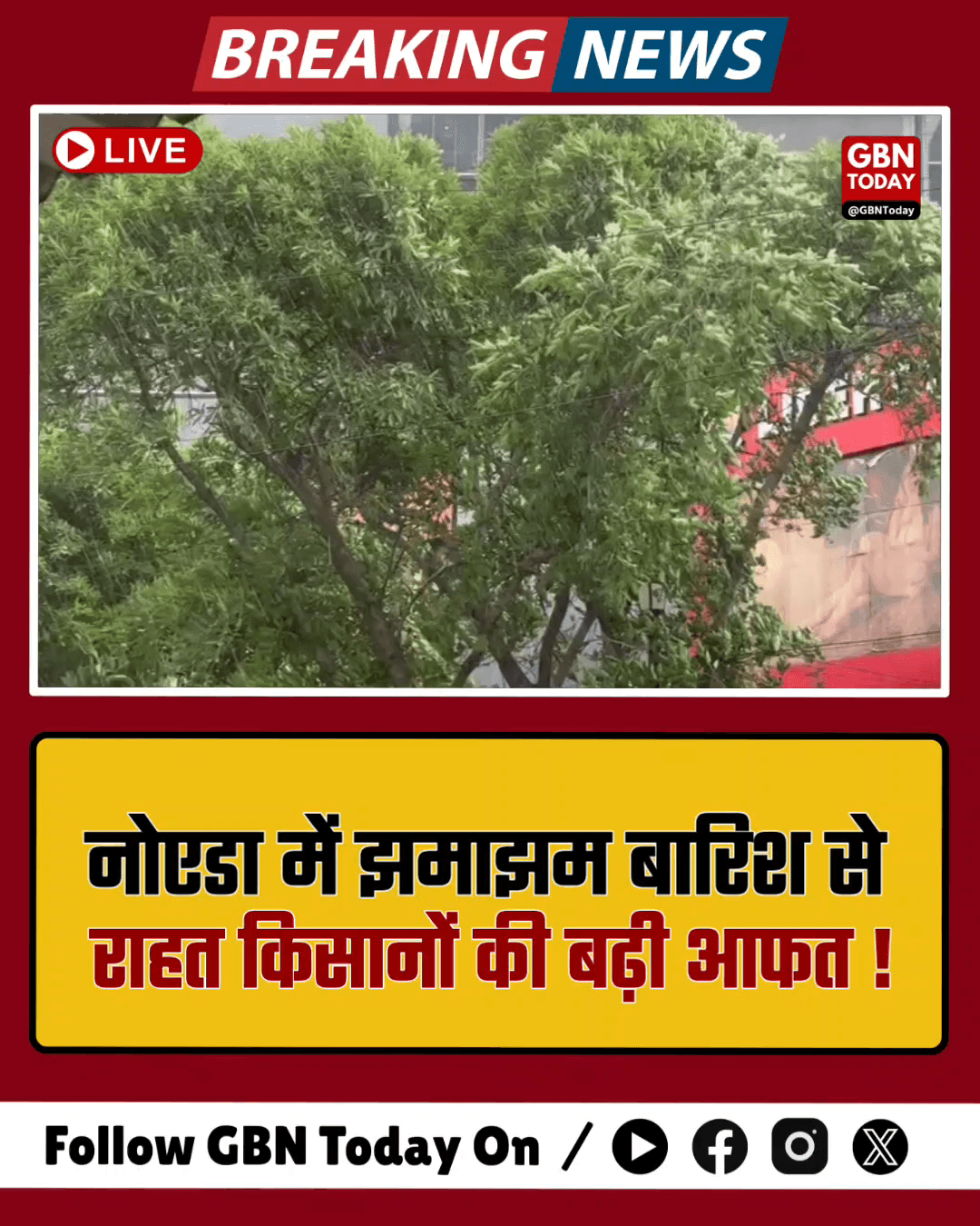 नोएडा: झमाझम बारिश से राहत, किसानों की बढ़ी आफत।
#NoidaWeather #RainAlert #FarmersLoss #BreakingNews