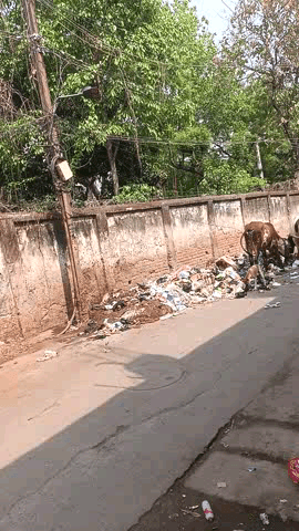 nagar nigam ka koi deyan nahi hai.
yaha pr rahney balo ko bahut dikkat ka samna krna prta hai.
#Nagarnigam
#ward35