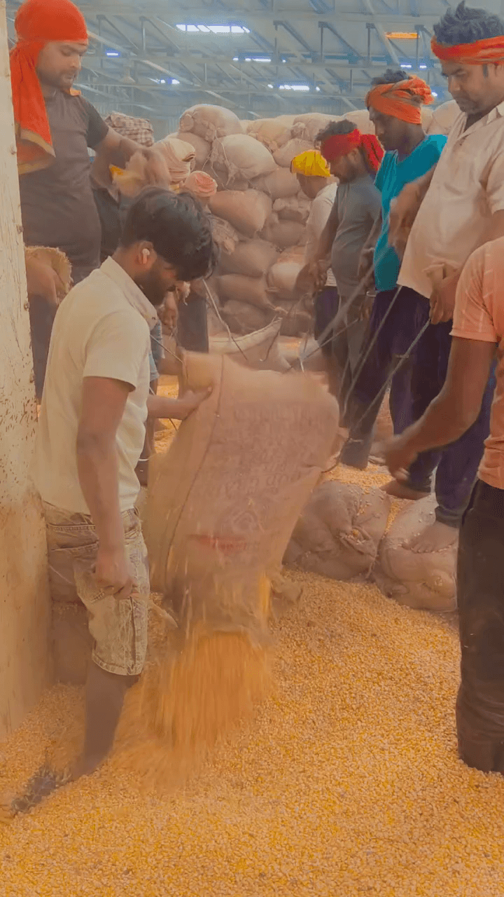 #like @follw #शेयर video अच्छा lege to
