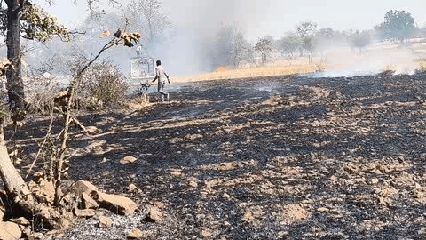टीकमगढ़ जिले के ग्राम पंचायत पिपरा मढ़ोरी में लगी शॉर्ट सर्किट से खेतों में आग।#tikamgrah