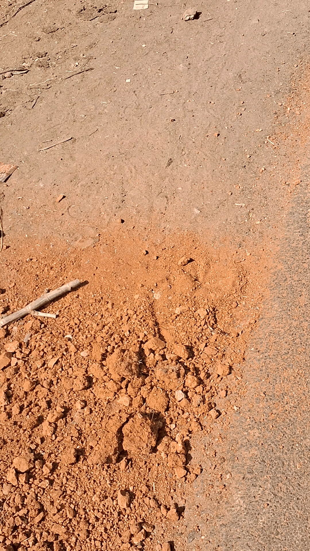 यहां ग्राम पंचायत पटोरी में मिट्टी की समस्या है