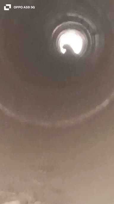 puliya sap karte huye ser mila puliya me betha