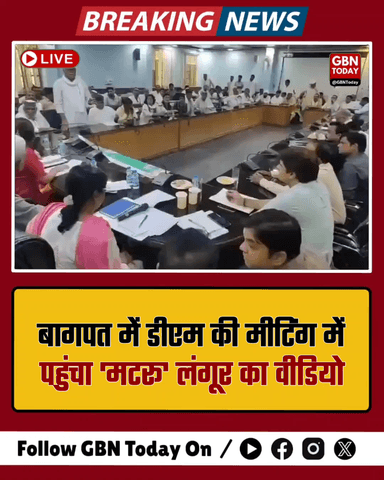 बागपत: डीएम की मीटिंग में पहुंचा 'मटरू' लंगूर, सोशल मीडिया पर चर्चा

​#Baghpat #DMBaghpat #IAS #AnimalLove #ViralNews