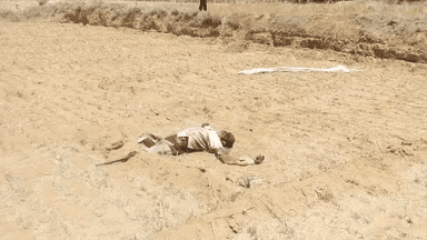 वैर-  वैर के हाथौडी गांव के सीरा हार में मिली वृद्ध  युवक की लाश  मौके पर पहुंची पुलिस ने घटनास्थल  का व्यौरा किया