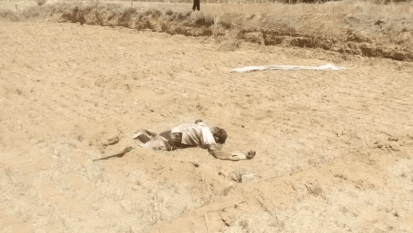 वैर-  वैर के हाथौडी गांव के सीरा हार में मिली वृद्ध  युवक की लाश  मौके पर पहुंची पुलिस ने घटनास्थल  का व्यौरा किया
