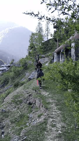 बनाऊगी मैं रोड ना होने के कारण स्थानीय लोगों को हो रही बड़ी परेशानियां