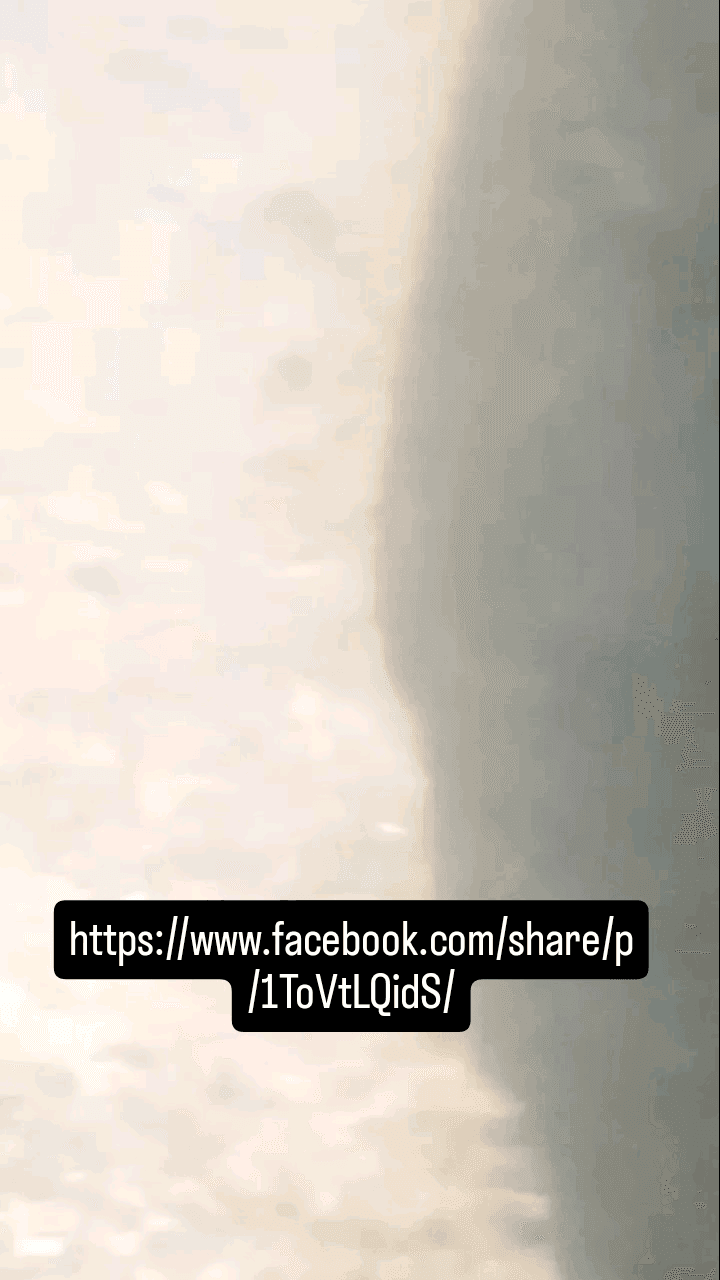 https://www.facebook.com/share/v/1bKiL6KAwK/ दिए गए लिंक पर पूरा वीडियो देखे।#breakingnew...