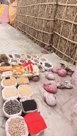 dekhiae fal ka market ka pura explore kiye Bhai agale video ke liye