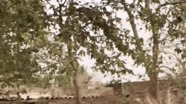 कैमूर : #डंपर की टक्कर से बाइक सवार युवक की मौत,आक्रोशित ग्रामीणों ने किया सड़क जाम,बारात से लौटते समय हुआ हादसा