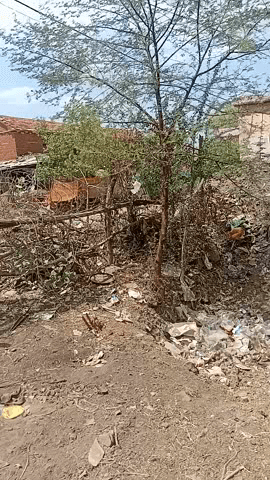 khaderi गाँव में फैलाई जारी gandgi