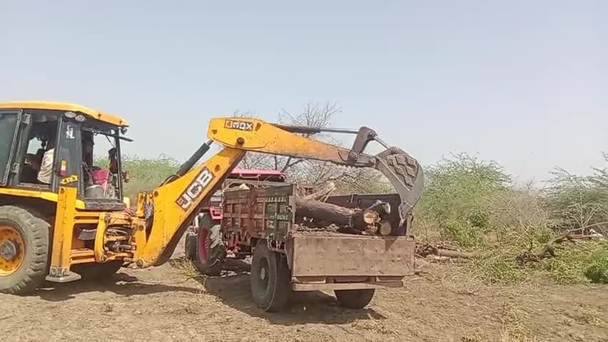 musi gav m koyle bhati k liye jcb Or tector se nim ka babul le jate huye debi lal daroga