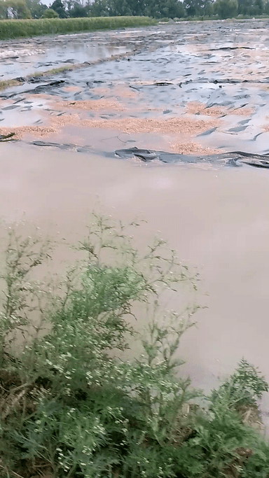 gram Karauli tahsil savar jila Kasganj gaon khuratal ke mein Aaj 4:00 baje se bahut hi jyada barish ho rahi hai